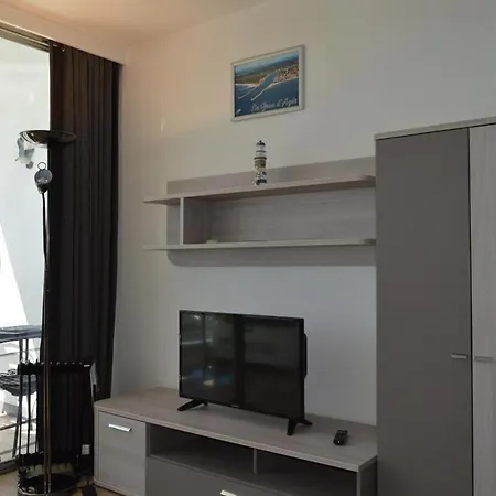 Appartement Appt 2 Pièces D'agde - Ct445-025