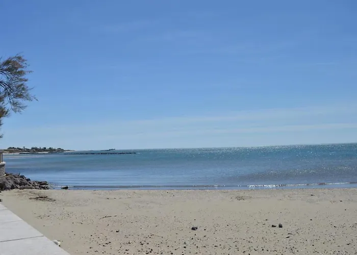 Apartment Appt 2 Pieces D'agde - Ct445-025 *